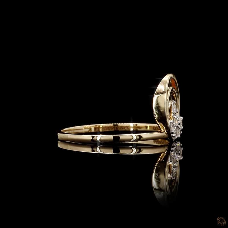 Double Arch Fan Ring 3